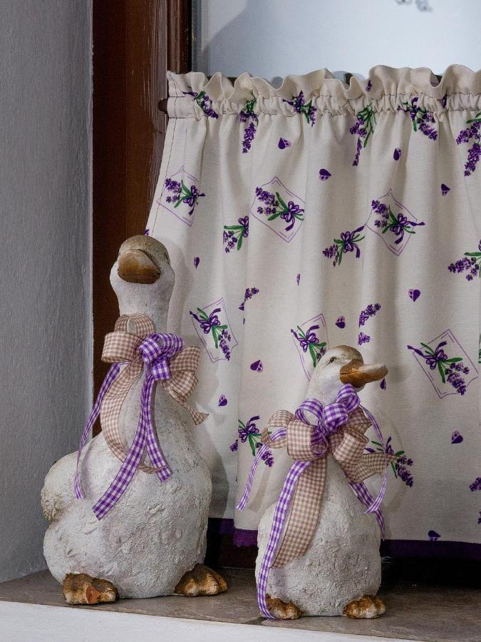 Penzion Gazdovsky Hostinec Topoľčianky エクステリア 写真