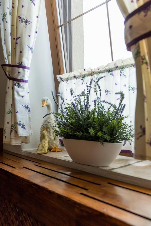 Penzion Gazdovsky Hostinec Topoľčianky エクステリア 写真