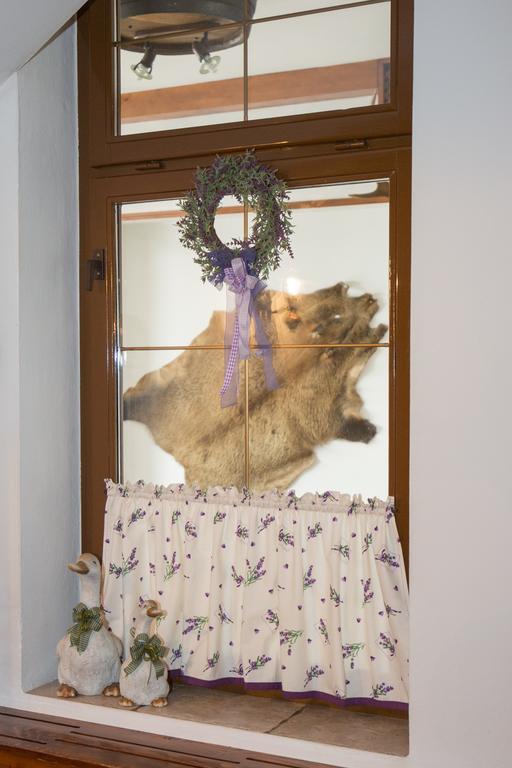 Penzion Gazdovsky Hostinec Topoľčianky エクステリア 写真